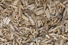 biomass boilers Birchendale