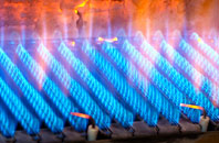 Birchendale gas fired boilers